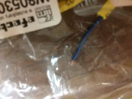 NEW Efector W80530 Brad Harrison Cordset 5M 
