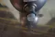 Grundfos CHI2-30 A-W-G-BUBE Booster Pump C4HZ20020 P10648 