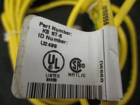 TURCK KB-5T-6 CABLE Microfast Molded Cordset 