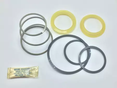 NEW WATTS 45-BFP-RK REGULATOR REPAIR KIT 