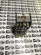 Allen-Bradley 700-P800A1 SER.B AC Relay 120V Coil 