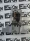 Potter & Brumfield KUP-14D15-24 24VDC Relay 24 VDC Coil W/Socket Base 