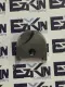   Waukesha 1053-0132-F  Spade Drill Blade Series  A18224 1-1/2 