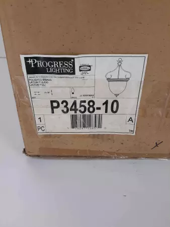 Progress Lightning P3458-10 Polished Brass Light Fixture 