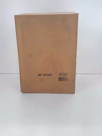 Hastings AF351 Air Filter