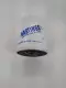 Hasting LF397 Lifeguard Filter 