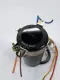 Nippon Chemi-Com CE W 50 V 1000uF Negative Black Capacitor 