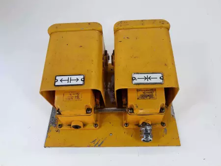 Electric Co. Ltd. SFS-337 Double Foot Pedal Switch 