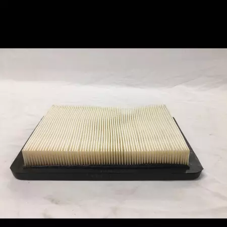 Hastings AF1028 Air Filter 