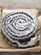Tsubaki ISS RC100 Roller Chain With Bearings, 40 Feet RS100 