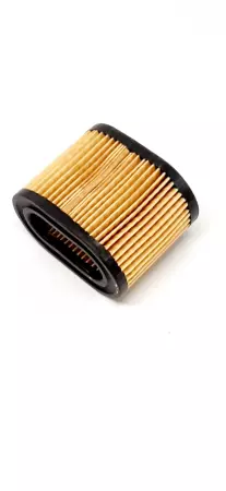 Tecumseh 36745 Air Filter 