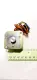 Minebea Astrosyn 17BB-H269 Stepper Motor 16v 80 Coil 
