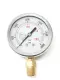 Stainless Steel 2016.07.25 Liquid Filled Pressure Gauge 0-3000 