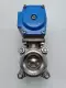 Riegler PHK.EP.E3.I.DN40.63.DA.000 Actuator/Ball Valve Assy 1-1/2