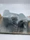 Wittenstein SC-075S-MF1-2-1E1-1K00 Right Angle Gear Box Ratio 2:1 