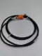 NEW Lumberg RKWTS 4-288/2M Actuator/Sensor Cordset Single Ended 