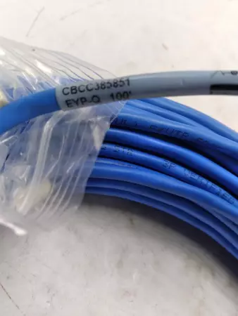 NEW Black Box CBCC385851 EYP-Q 100' Blue PVC Ethernet Cable 100 Ft 