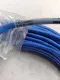 NEW Black Box CBCC385851 EYP-Q 100' Blue PVC Ethernet Cable 100 Ft 