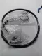 NEW  FC-9101-1369-E003 Interface Cable 3 Ft 