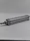 Festo DNC-50-250-PPV Pneumatic Cylinder 