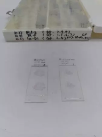 Unbranded GP Microscope Slides Box 