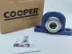 SKF 01BCP40MEXAT Cooper Roller Bearing Pillow Block 