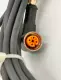 Lumberg E12683-V Straight Female Connector Cable 21Ft 