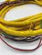 Allen-Bradley 889M-F12AH-10 SER C Sensor/Actuator Cable, 17Ft 