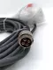 Allen-Bradley 2090-XXNPMP-14S15 SER.A Motor Feedback Cable, Length 32Ft TESTED 