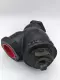 NEW Ssi 250 YTIG Steam Trap 2