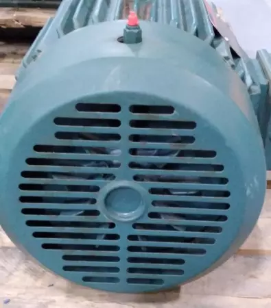 Reliance Electric P21G4901R Duty Master® AC Motor, 10HP Frame 215T 