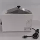  Thermo Electron Co. 2831 Precision Water Bath 
