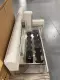 Beckman Coulter BIOMEK® 2000 Liquid Handler Automation Workstation 