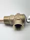 Cash Acme NCLX-5 Pressure/Temperature Relief Valve 