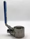 FNW 360 SW Ball Valve,1000WOG 