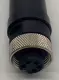 Brad Harrison 221805 8Ft Motor Cord, 5-Pin 