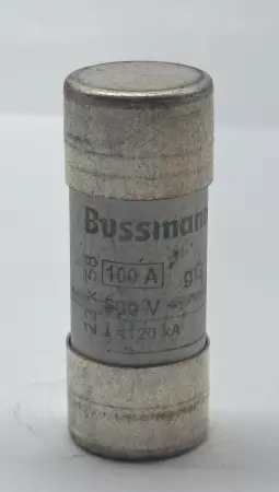 Bussmann C22G100 Time Delay Fuse, 500V 100Amp 