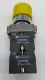 Telemecanique ZB2-BE202 Yellow Pushbutton W/Contact Blocks 