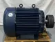 Marathon BJ 444TTFS4036BT W Blue Chip™ AC Motor 125 HP, Frame 444T 