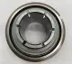 Dodge DL 1-3/16 Roller Bearing 1-3/16