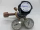 Fisherbrand 10-572-F Compressed Gas Regulator Assembly 