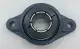 FYH FL207 2-Bolt Flange Bearing 1-3/8