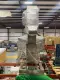 Shibuya Hoppmann EP08/25 SS Conveyor Elevating Feeder 