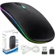 Hiarkio 2.40G Wireless Mouse, Bluetooth Silent, Rechargeable LED Colorful Lights