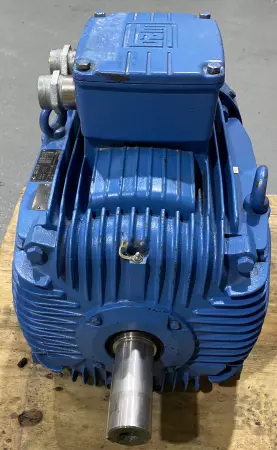 Weg VDE0530 Inverter Duty Motor, 42kW/56HP 