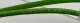 Sick 2106259 Network connector Cable, 15Ft 