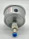 PIC Gauges E21017520173 Pressure Gauge, 0-100 Psi 