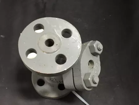 NEW Mueller 99H Flanged Y Strainer 1/2