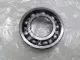 NEW NSK 6004C3 Deep Grove Ball Bearing 42mm OD 