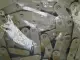 NEW Peer Chain Company C2060HR Chain Size 2060, 1-1/2 in Pitch, P/N C2060HR X 10